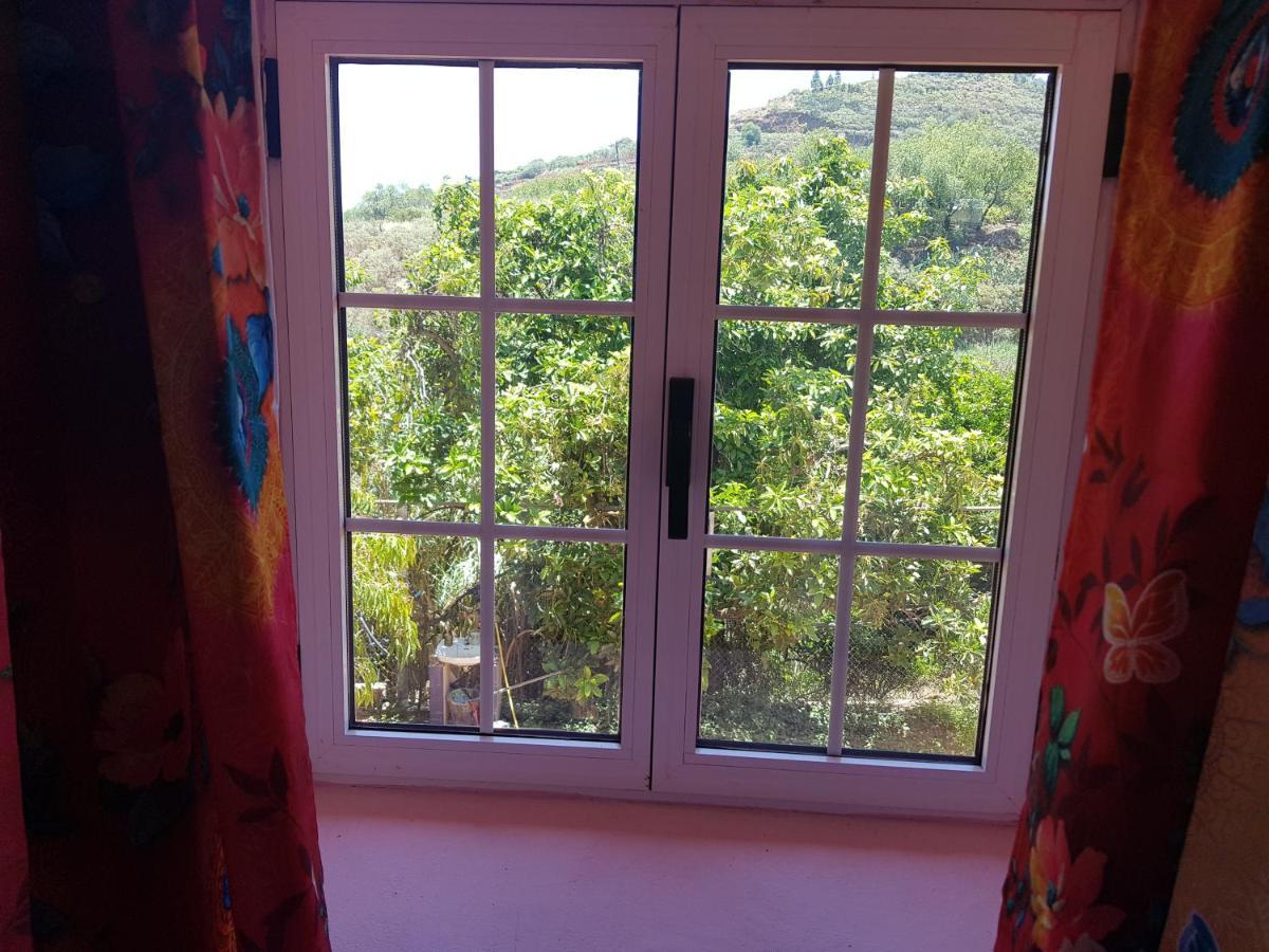 Finca Rural Torres Casas 1 Y 4 Bed & Breakfast 베가데산마테오 외부 사진