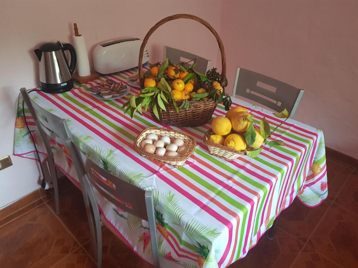 Finca Rural Torres Casas 1 Y 4 Bed & Breakfast 베가데산마테오 외부 사진
