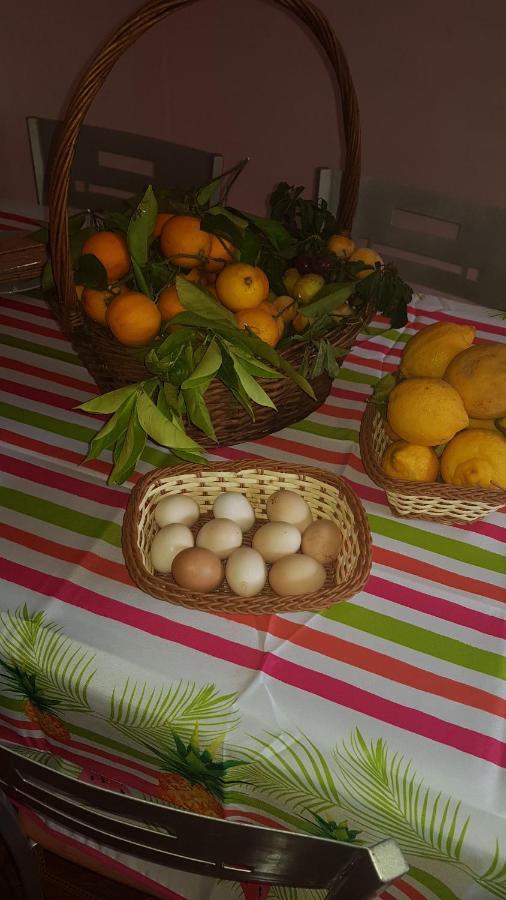 Finca Rural Torres Casas 1 Y 4 Bed & Breakfast 베가데산마테오 외부 사진
