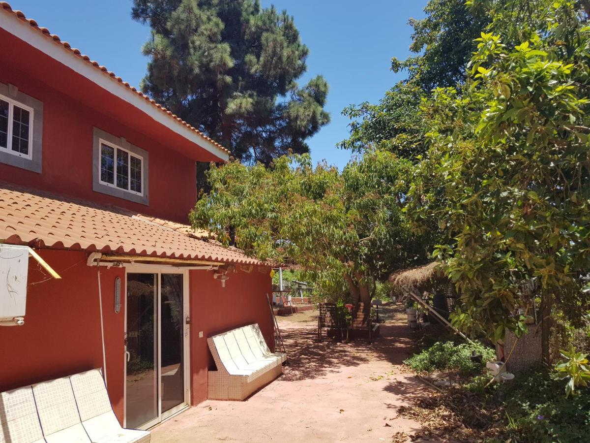 Finca Rural Torres Casas 1 Y 4 Bed & Breakfast 베가데산마테오 외부 사진