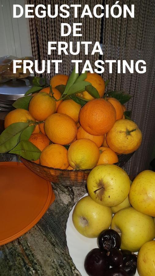 Finca Rural Torres Casas 1 Y 4 Bed & Breakfast 베가데산마테오 외부 사진
