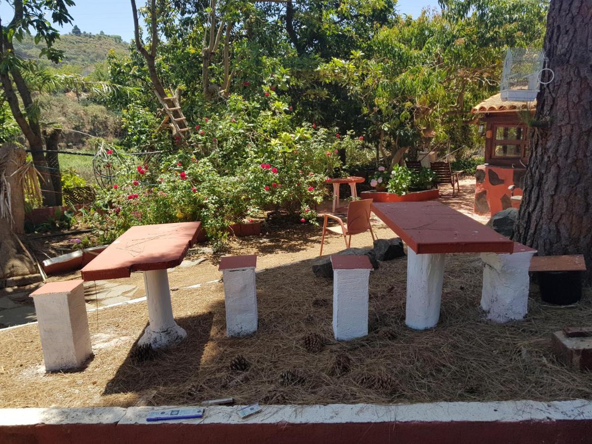 Finca Rural Torres Casas 1 Y 4 Bed & Breakfast 베가데산마테오 외부 사진