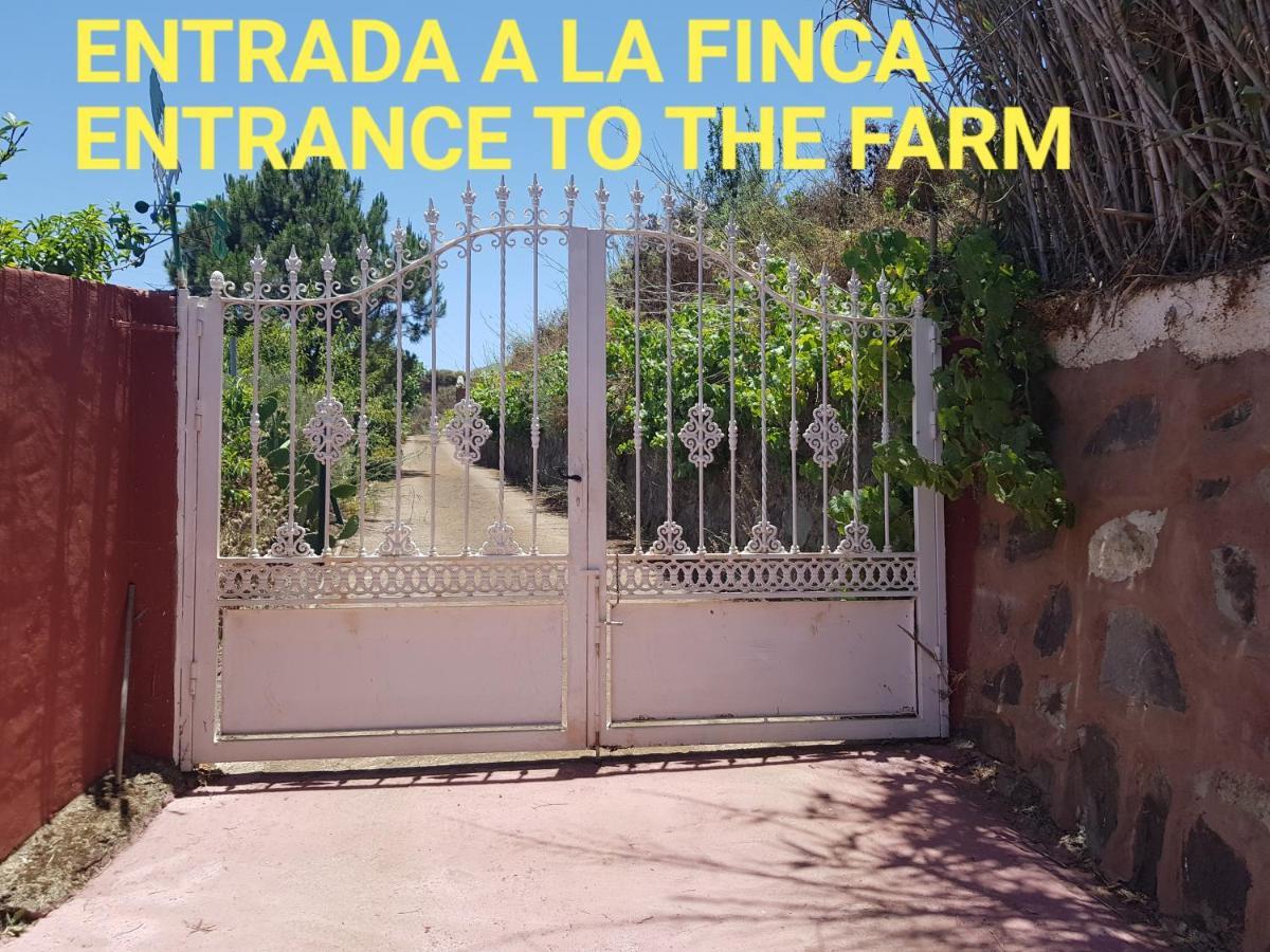 Finca Rural Torres Casas 1 Y 4 Bed & Breakfast 베가데산마테오 외부 사진