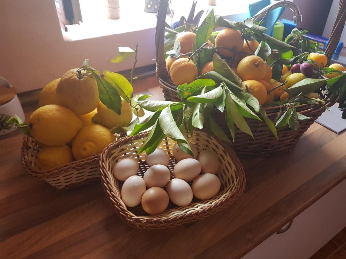 Finca Rural Torres Casas 1 Y 4 Bed & Breakfast 베가데산마테오 외부 사진