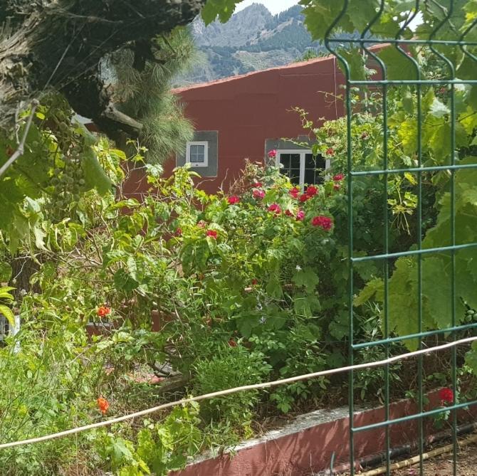 Finca Rural Torres Casas 1 Y 4 Bed & Breakfast 베가데산마테오 외부 사진