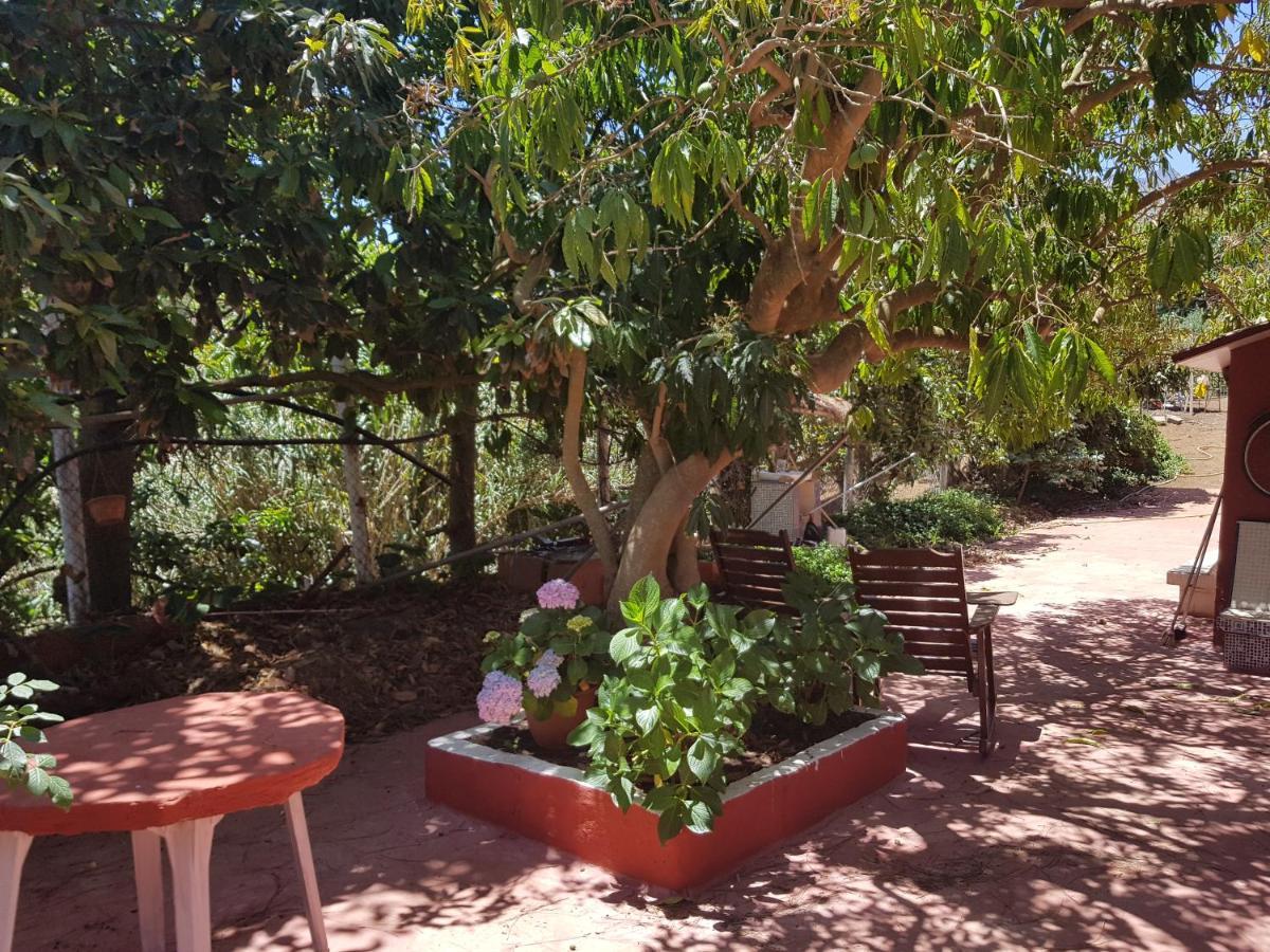 Finca Rural Torres Casas 1 Y 4 Bed & Breakfast 베가데산마테오 객실 사진