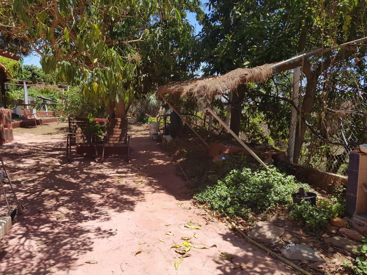 Finca Rural Torres Casas 1 Y 4 Bed & Breakfast 베가데산마테오 객실 사진